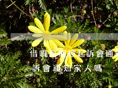 借唄逾期被起訴會通知家人嗎（借唄逾期被起訴會通知家人嗎）