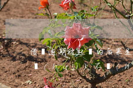 借唄逾期被起訴的后果是(支付寶借唄逾期了會(huì)不會(huì)起訴)