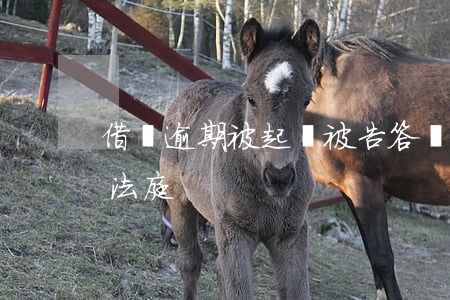 借唄逾期被起訴被告答辯狀-借唄逾期被告法庭
