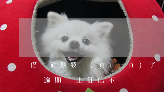 借唄逾期被關(guān)了會上征信嗎(借唄逾期會上征信不)