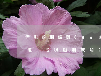 借唄逾期被關(guān)閉了想還清怎么還-借唄逾期被關(guān)閉了想還清怎么還款