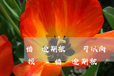 借唄逾期被騷擾可以向銀監(jiān)會投訴-借唄逾期被騷擾可以向銀監(jiān)會投訴嗎