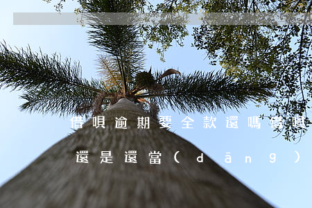 借唄逾期要全款還嗎(借唄逾期了要全部還完還是還當(dāng)期)
