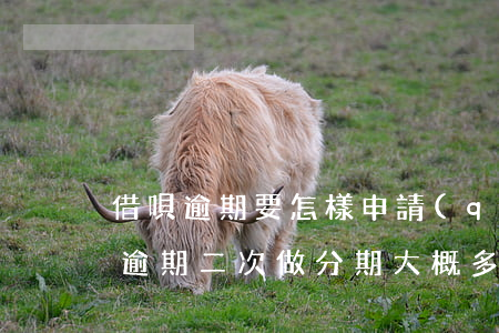 借唄逾期要怎樣申請(qǐng)分期(借唄逾期二次做分期大概多長(zhǎng)時(shí)間申請(qǐng)下來(lái))
