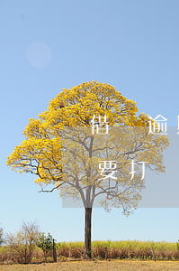 借唄逾期要打電話給父母怎么辦-借唄逾期要打電話給父母怎么辦呢