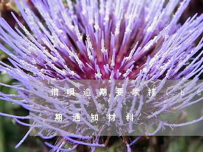 借唄逾期要求補(bǔ)充家人資料(借唄逾期通知材料)