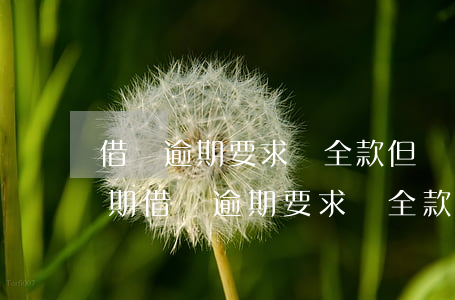 借唄逾期要求還全款,但頁(yè)面還是分期 借唄逾期要求還全款,但頁(yè)面還是分期怎么辦