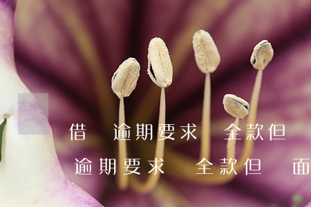 借唄逾期要求還全款,但頁面還是分期-借唄逾期要求還全款,但頁面還是分期怎么辦