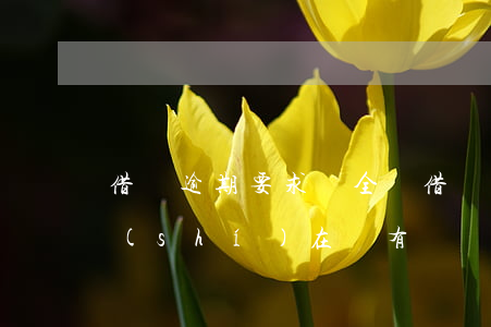 借唄逾期要求還 全額(借唄逾期要求還全額,實(shí)在沒有錢)