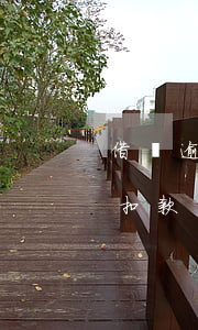借唄逾期 解綁銀行卡(借唄逾期解綁銀行卡還扣款嗎)
