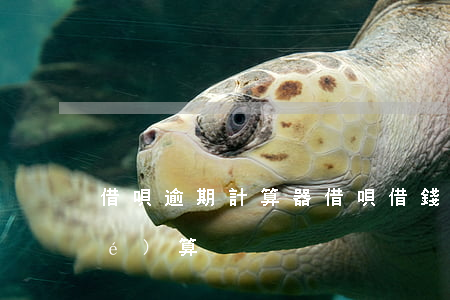 借唄逾期計算器（借唄借錢逾期怎么結(jié)算）