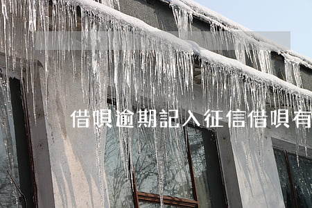 借唄逾期記入征信(借唄有上征信記錄)