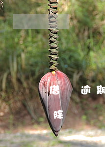 借唄逾期 記錄(借唄逾期記錄一般多久可以刪除)