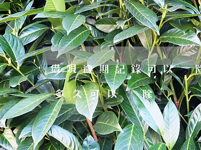 借唄逾期記錄可以刪除嗎(借唄逾期記錄一般多久可以刪除)