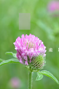 借唄逾期記錄可以查詢么(借唄有逾期怎么查)