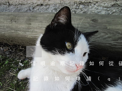 借唄逾期記錄如何從征信取消 借唄逾期征信記錄如何申請(qǐng)撤銷