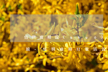借唄逾期說(shuō)上門(mén)掃臉-借唄逾期打電話說(shuō)要上門(mén)調(diào)查怎么辦
