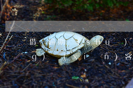 借唄逾期說(shuō)你是高風(fēng)險(xiǎn)客戶(hù)(借唄風(fēng)險(xiǎn)提示)