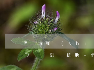 借唄逾期說(shuō)報(bào)送逾期記錄到戶籍地-借唄逾期說(shuō)報(bào)送逾期記錄到戶籍地是真的嗎