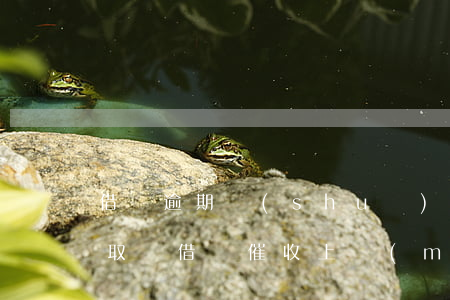 借唄逾期說(shuō)是上門(mén)取證(借唄催收上門(mén)取證)