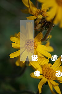 借唄逾期說(shuō)是會(huì)寄律師函(借唄會(huì)發(fā)律師函嗎)