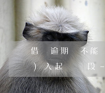 借唄逾期說不能協(xié)商進(jìn)入起訴階段-借唄逾期說不能協(xié)商進(jìn)入起訴階段是真的嗎