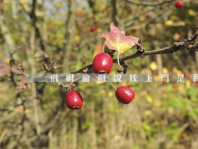 借唄逾期說找上門是真的嗎(欠借唄會上門嗎)