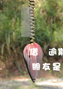 借唄逾期說會(huì)聯(lián)系朋友是真的嗎-借唄逾期說會(huì)聯(lián)系朋友是真的嗎嗎