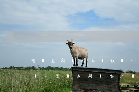 借唄逾期說要上門核實(shí)情況違法嗎-借唄逾期說要上門核實(shí)情況違法嗎是真的嗎
