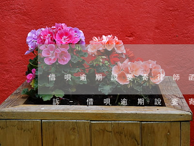 借唄逾期說要寄律師函多久會(huì)起訴-借唄逾期說要寄律師函多久會(huì)起訴我