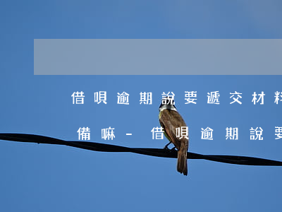 借唄逾期說要遞交材料需要準(zhǔn)備嘛-借唄逾期說要遞交材料需要準(zhǔn)備嘛是真的嗎