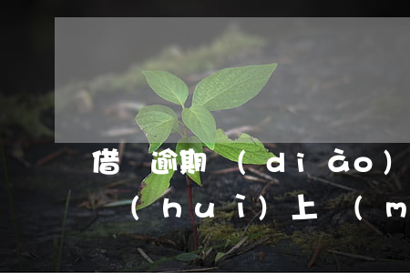 借唄逾期調(diào)查(螞蟻借唄逾期了會(huì)上門(mén)調(diào)查嘛)