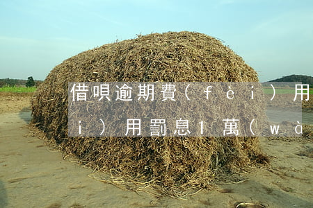 借唄逾期費(fèi)用(借唄逾期費(fèi)用罰息1萬(wàn)多)