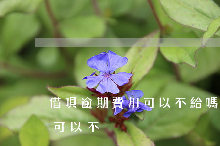 借唄逾期費用可以不給嗎(借唄逾期利息不還可以不)