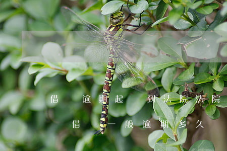 借唄逾期起訴到法院法院會(huì)受理嗎(借唄一般逾期多久會(huì)被起訴會(huì)收到判決書(shū)一)