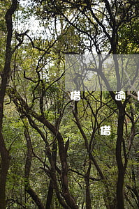 借唄逾期起訴到開庭需要多久時(shí)間(借唄逾期起訴到開庭需要多久時(shí)間)