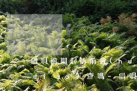 借唄逾期起訴前會(huì)到居住地調(diào)查嗎-借唄逾期起訴前會(huì)到居住地調(diào)查嗎是真的嗎