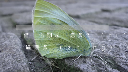 借唄逾期起訴后多久會(huì)起訴(借唄逾期多長(zhǎng)時(shí)間起訴)