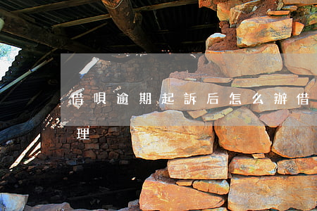 借唄逾期起訴后怎么辦(借唄逾期最終怎么處理)