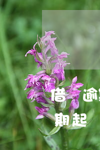 借唄逾期起訴后需要承擔什么后果-借唄逾期起訴后需要承擔什么后果呢