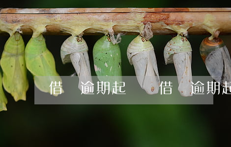 借唄逾期起訴嗎（借唄逾期起訴嗎）