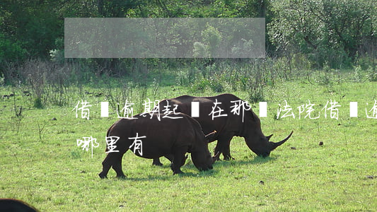 借唄逾期起訴在那個法院(借唄逾期起訴案例哪里有)