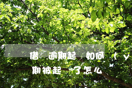 借唄逾期起訴如何應(yīng)對(借唄逾期被起訴了怎么辦?)