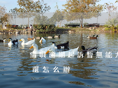 借唄逾期起訴暫無能力償還(借唄逾期無力償還怎么辦)