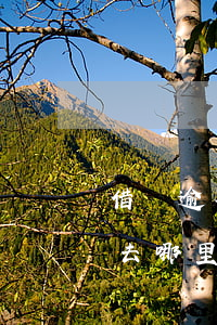 借唄逾期起訴法院在哪里-借唄逾期被起訴去哪里開庭
