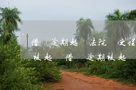 借唄逾期起訴法院會受理嗎(借唄逾期多久會被起訴?借唄逾期被起訴怎么辦)