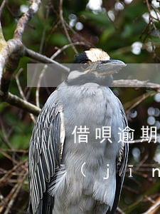 借唄逾期起訴被判詐騙(被詐騙借唄的錢已經(jīng)立案,借唄錢用還嗎)