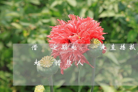 借唄逾期起訴還是直接抓人(借唄逾期多久會起訴借款人?)