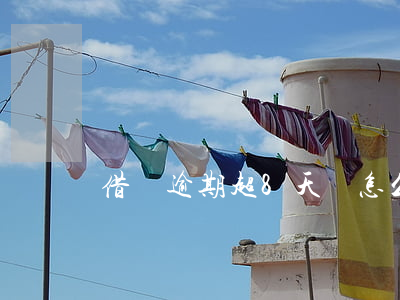 借唄逾期超8天會怎么樣(借唄逾期七天嚴重嗎)