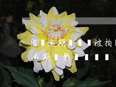借唄逾期車輛會被拍賣嗎(使用花唄借唄沒有逾期會影響車貸嗎)